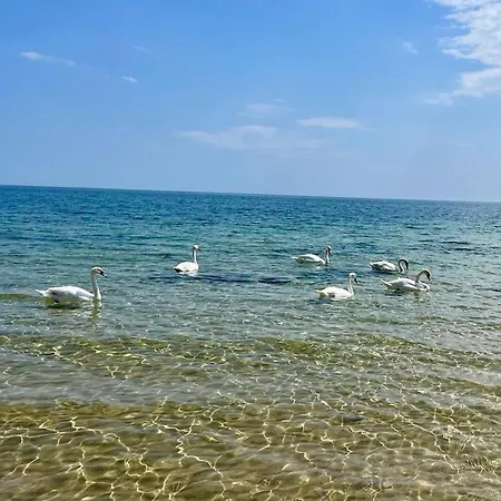 Bellevue Ράβντα